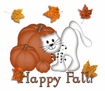 Fall Kitty
