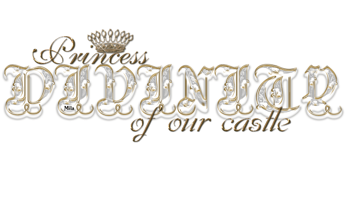 Princess of our castle - Divinity