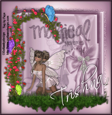 Fairytale Fairy - Trishna