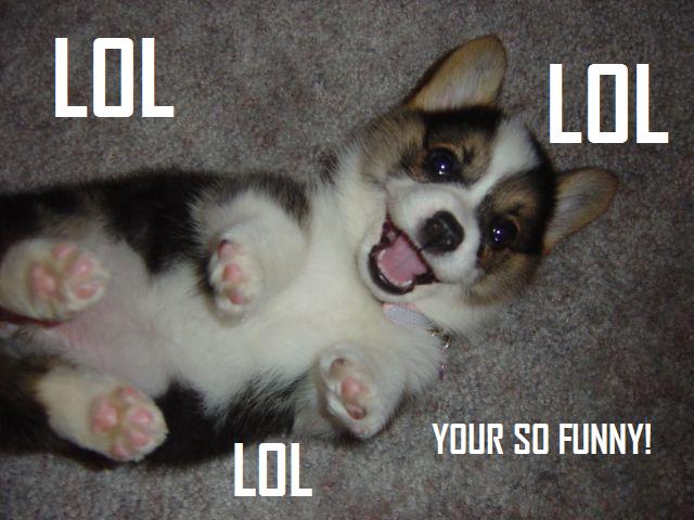 Funny Puppy