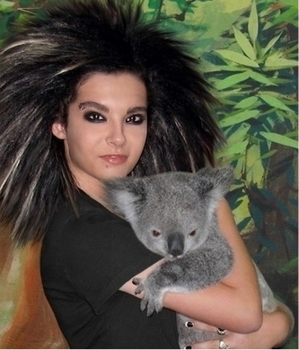 bill kaulitz