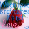 With out Maddnes There is no Love