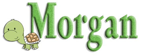 turtle morgan