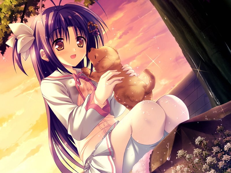 Puppy