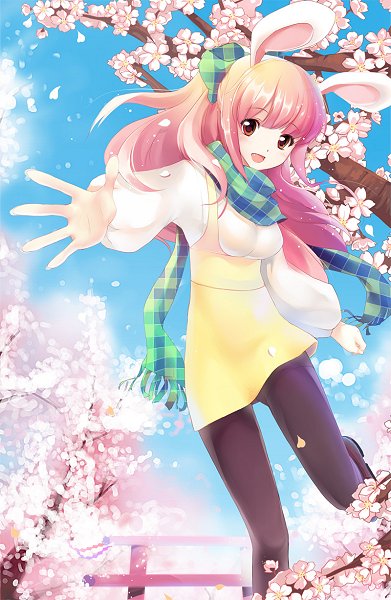 Sakura Bunny