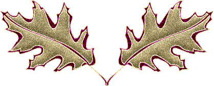 dividers