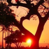 love tree 2.