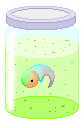 baby rainbow henry