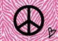 peace and zebra:)