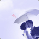 LOVELY COUPLE