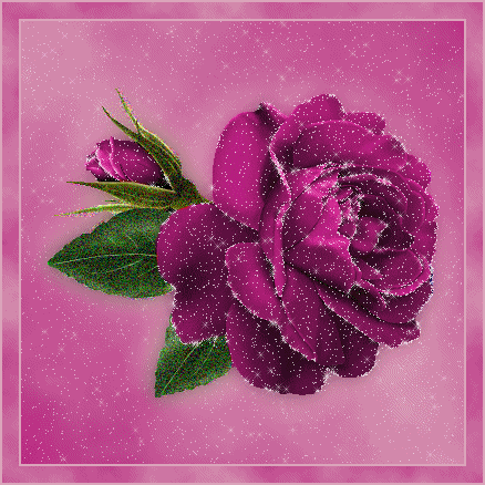 Flowers.