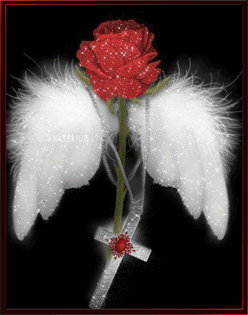 Angel's Rose