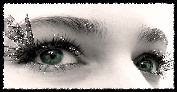 Eyes.