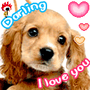Darling I Love you