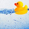 RUbbER dUCk.