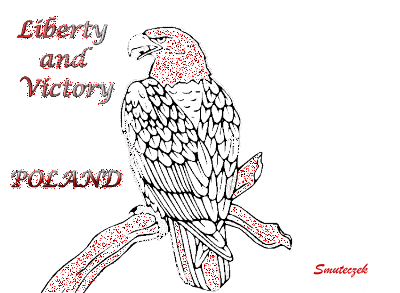 VIVA POLAND