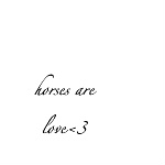 horses are love<3