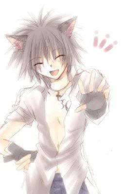 NekoBoy