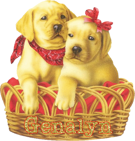 puppies in a basket Genalyn