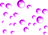 PINK BUBBLES