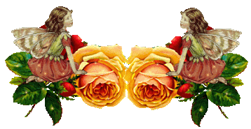 Roses & Butterflies