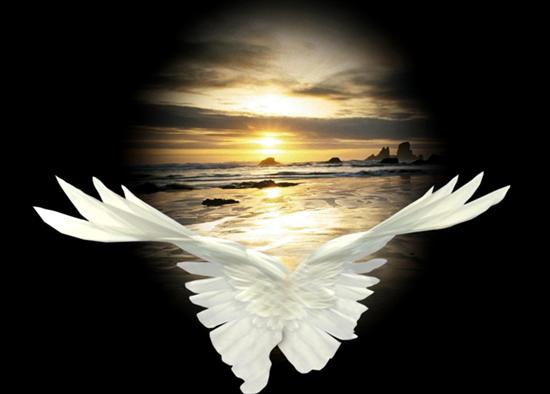 ANGELS