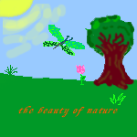 the beauty of nature