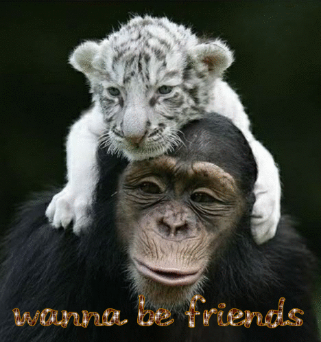 Wanna Be Friends