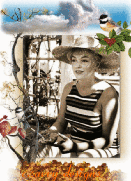 marilyn,birds