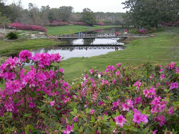 flowers bridge