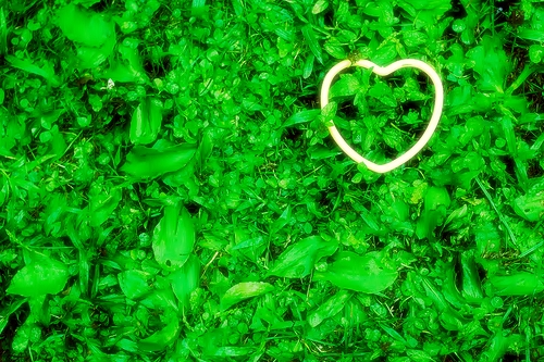 grass heart