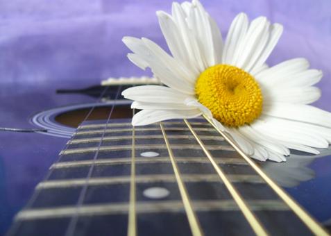 flower guitar