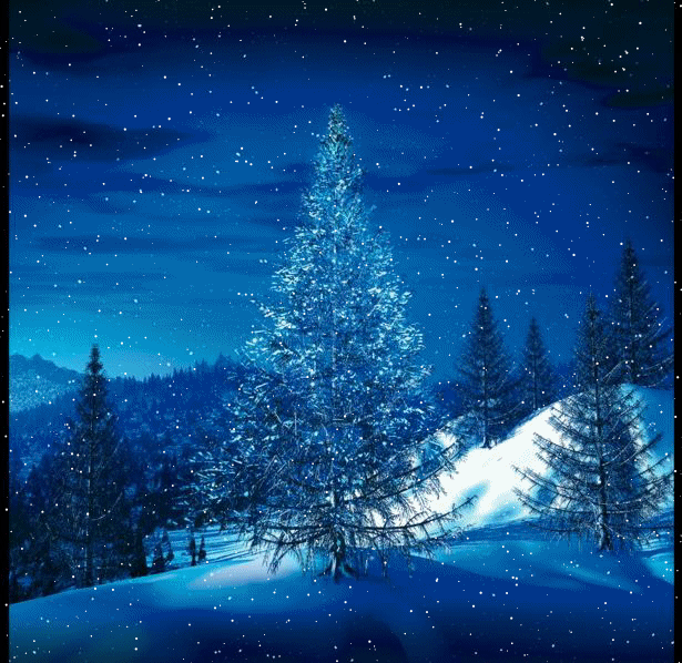 CHRISTMAS - NEW YEAR