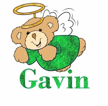 Gavin