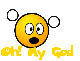 Image result for oh my god emoticon