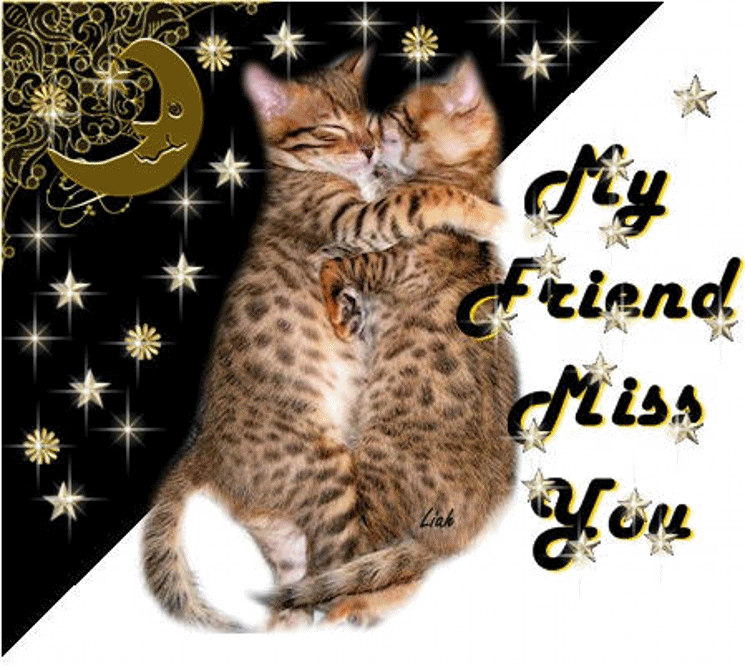 miss you my friend