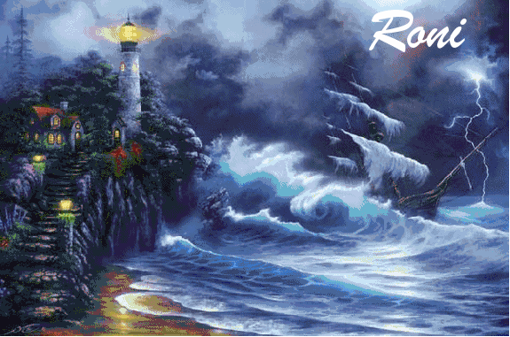 Roni Ship at Sea