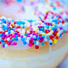 Doughnut