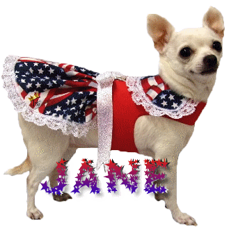 usa dog jane