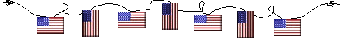 AMERICAN BANNERS