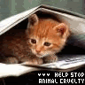 animal abuse