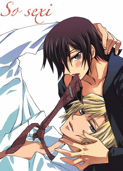 Sexy Lelouch and Schneizel (in Animated GIFs)