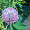 appreciate nature