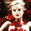 American Beauty Spectacular