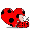 Ladybird