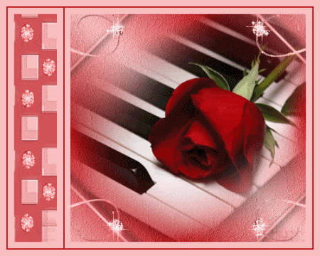 Piano Rose