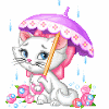 charmmy kitty
