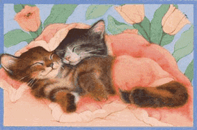Naptime Kitties