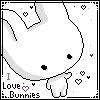 I Love Bunnies*