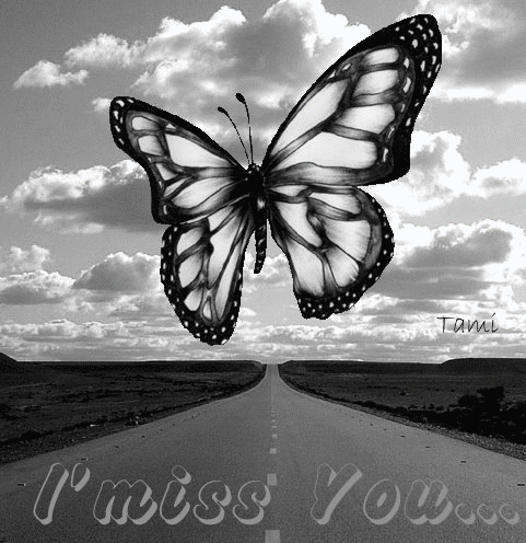miss you